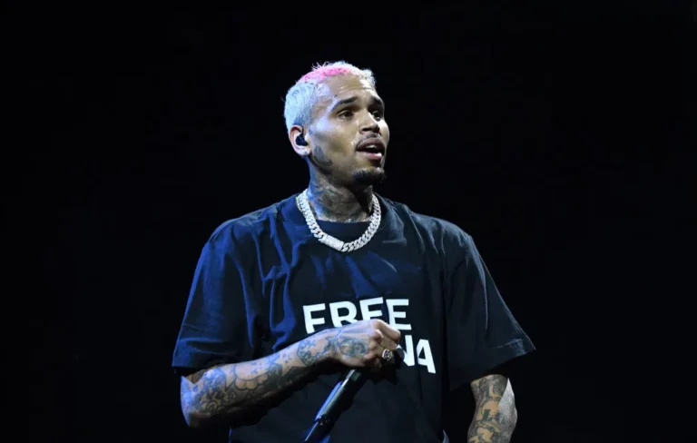 Chris Brown Seeks Court Protection for Family in $90 Million Dog Attack Suit