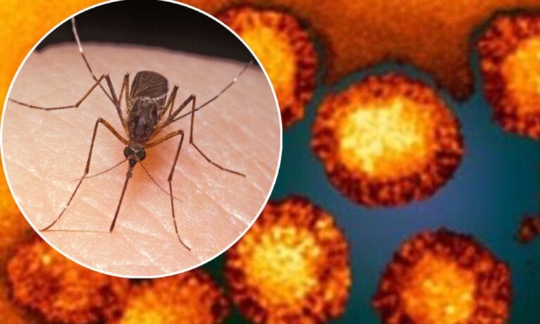 Mosquito Season Worsens in Texas as Climate and Storms Fuel Deadly Threats