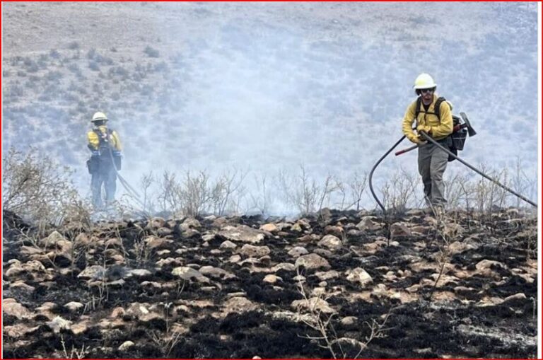 New Mexico Wildfires Prompt Emergency Declaration as Trout Fire Burns Over 24,000 Acres