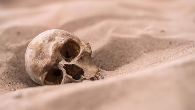 The Mystery of Scattered Man: A Skull on the Shore