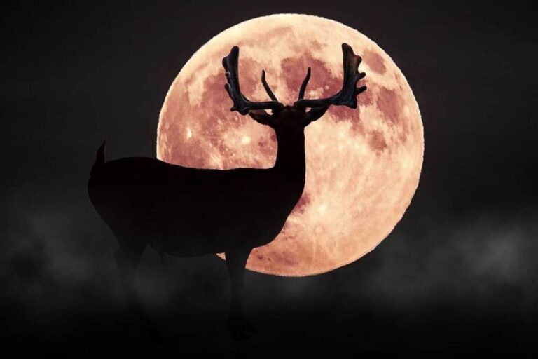 Skywatchers Gear Up for the Rare “Buck Moon” Rising Tonight