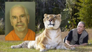 Tiger King Star Doc Antle Sentenced for Wildlife Trafficking and Money Laundering