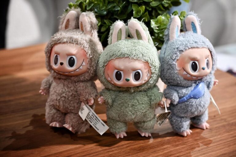 Thieves Target Trendy Labubu Dolls in Calculated California Store Heist Worth $7,000