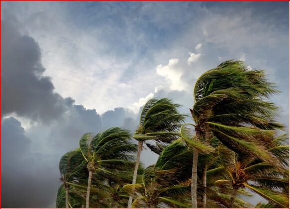 Hurricane Erin Threatens East Coast With Dangerous Rip Currents and ...