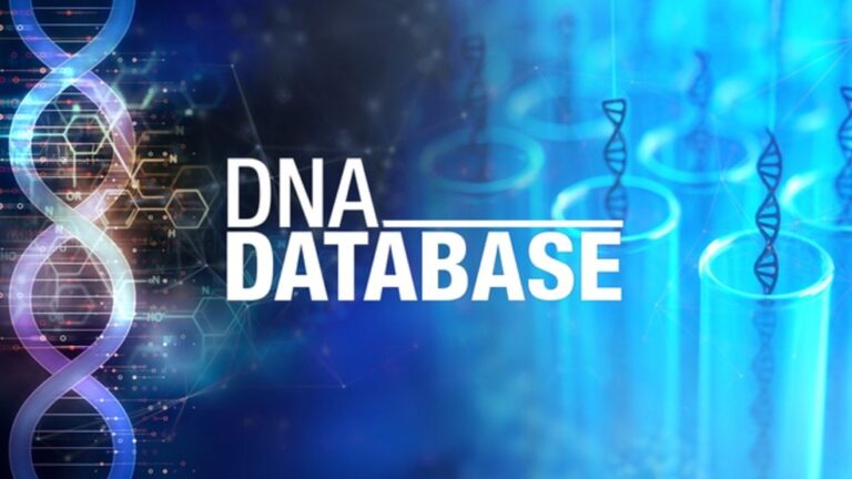 DNA Database Links California Man to Four Cold Cases in Arizona