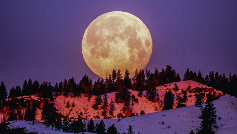 Skywatchers: November Brings Meteor Showers and the  Beaver SuperMoon to Light Up the Sky 