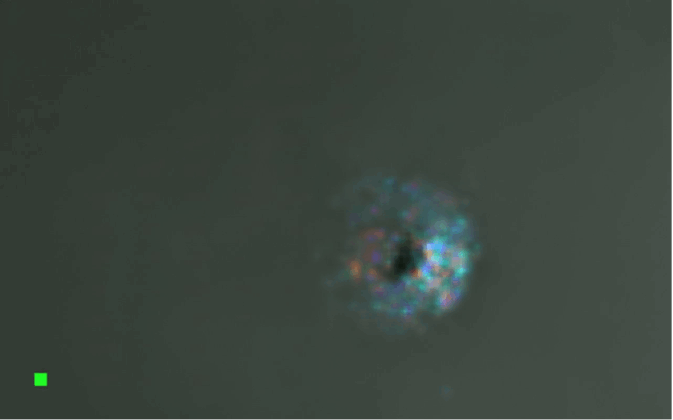 Re-Examination of Early October Image of 3I/ATLAS Reveals a Structured Core and Industrial-Grade Metal Signature That Challenges Natural Explanation
