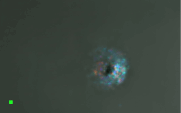 Re-Examination of Early October Image of 3I/ATLAS Reveals a Structured Core and Industrial-Grade Metal Signature That Challenges Natural Explanation