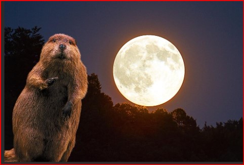 Beaver Moon 2025: The Biggest and Brightest Supermoon of the Year
