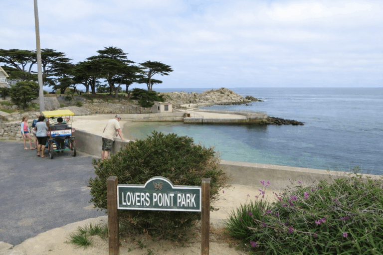 Search Suspended After Witnesses Report Shark Encounter at Monterey Bay Beach