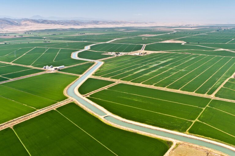 Fears Grow As Invasive Golden Mussels Reach Vital California Aqueduct — Officials Probe How They Got There