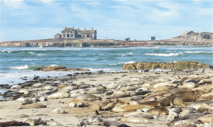 Deadly avian flu detected in California