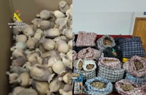 Three Arrested in Spain Over Alleged Opium Poppy Trafficking Scheme Targeting U.S. and Domestic Shipments