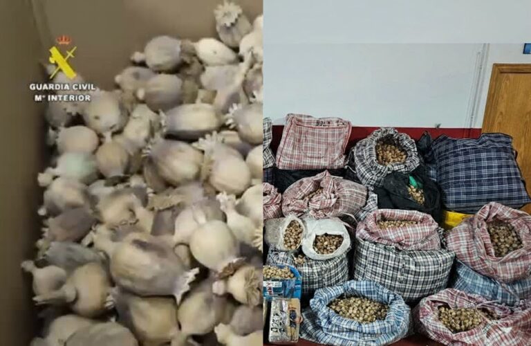Three Arrested in Spain Over Alleged Opium Poppy Trafficking Scheme Targeting U.S. and Domestic Shipments