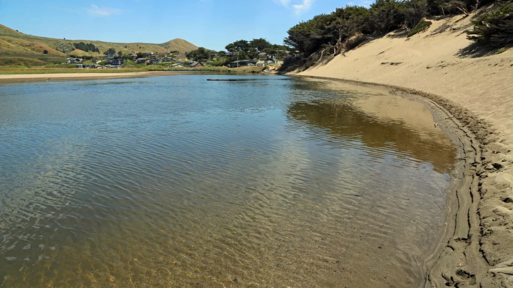 Remains of banker found on California beach