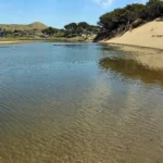 Remains of banker found on California beach