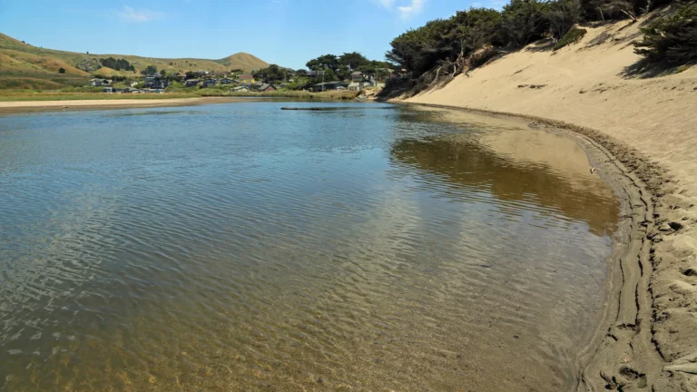 Remains of banker found on California beach