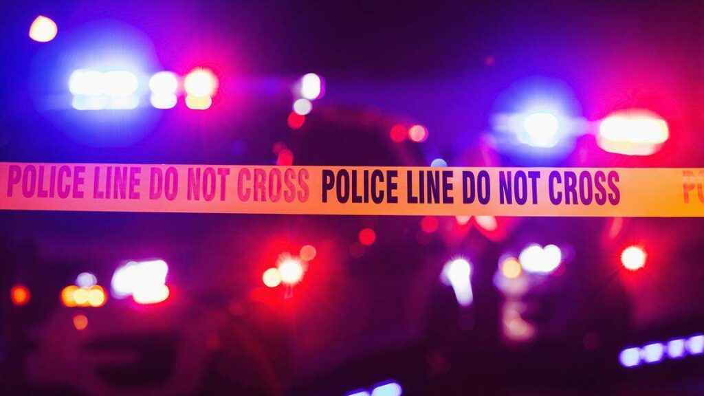 79 year old man stabbing