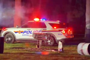 Eisenhower Park shooting