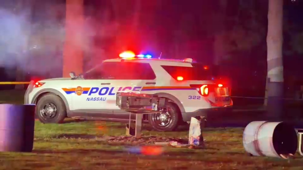 Eisenhower Park shooting