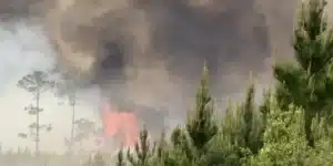Georgia wildfires