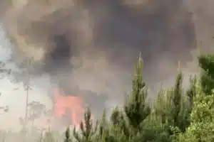 Georgia wildfires