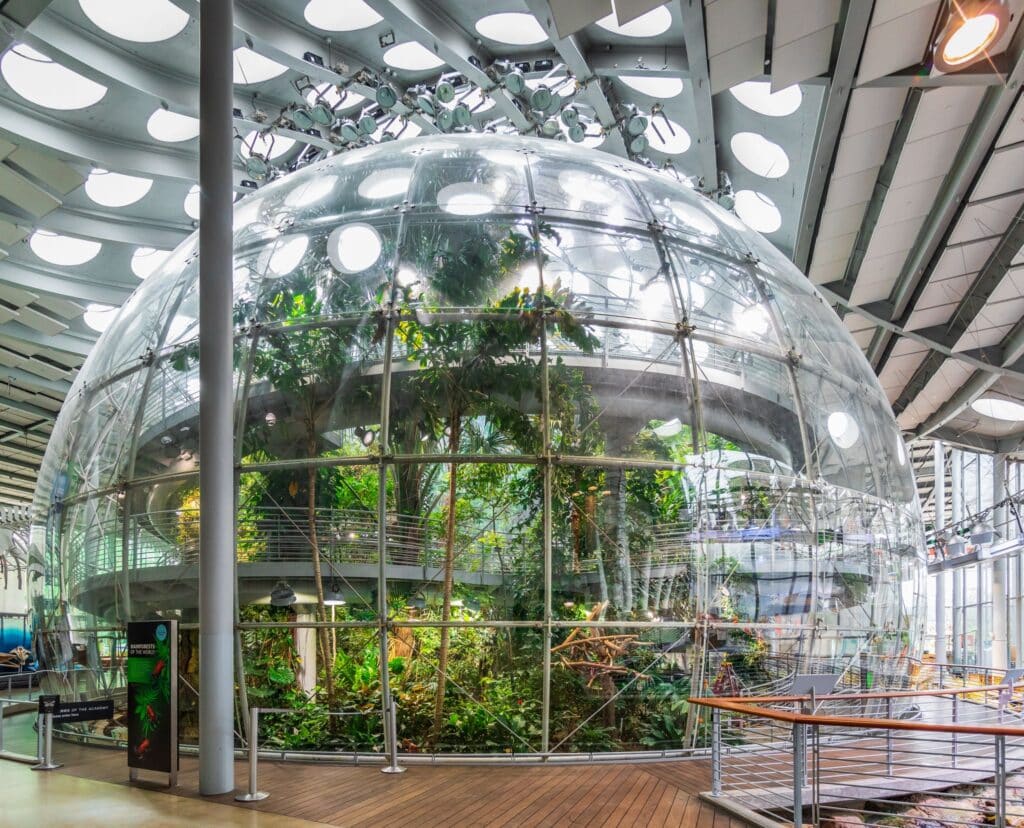 california Academy of science layoff