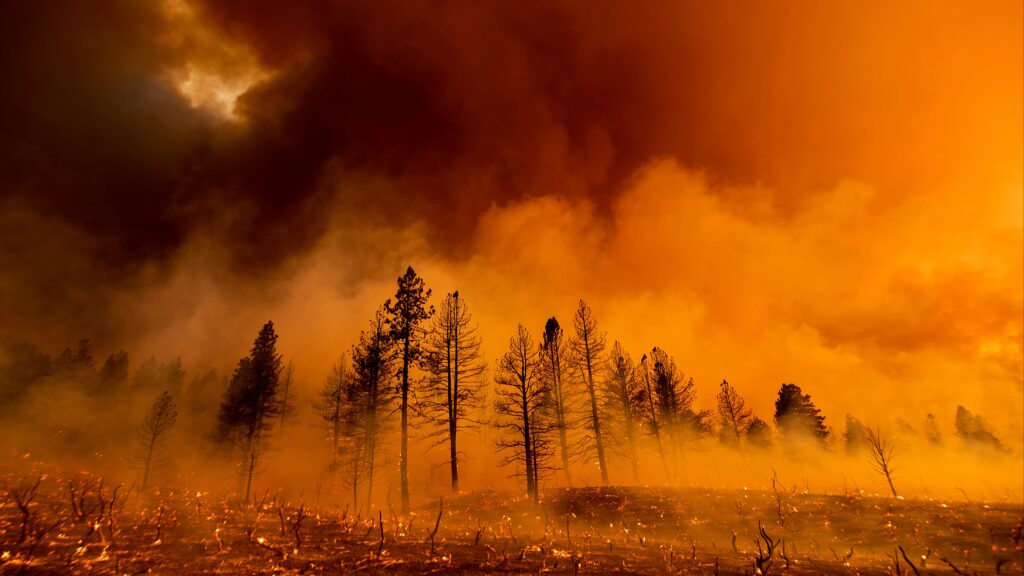 headerImage-7d8cb0b2-ed11-4491-bcde-c7d9cbab3e85