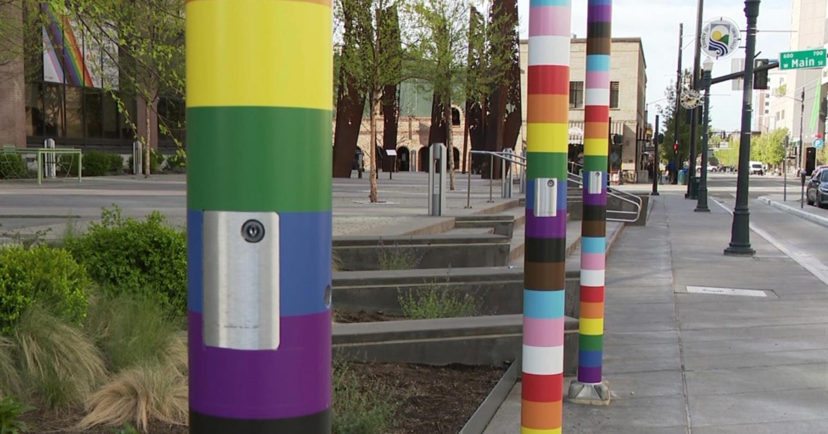 idaho banned pride flags