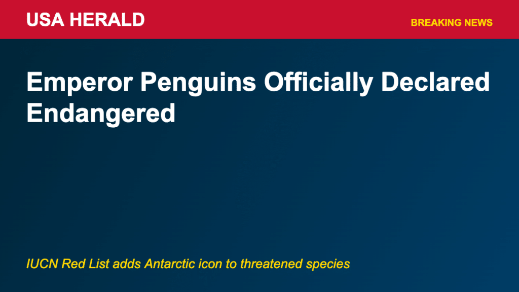 penguin-endangered-featured