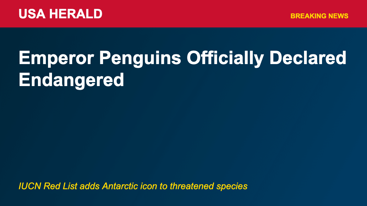 penguin-endangered-featured
