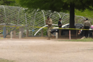 shelby farms park shooting