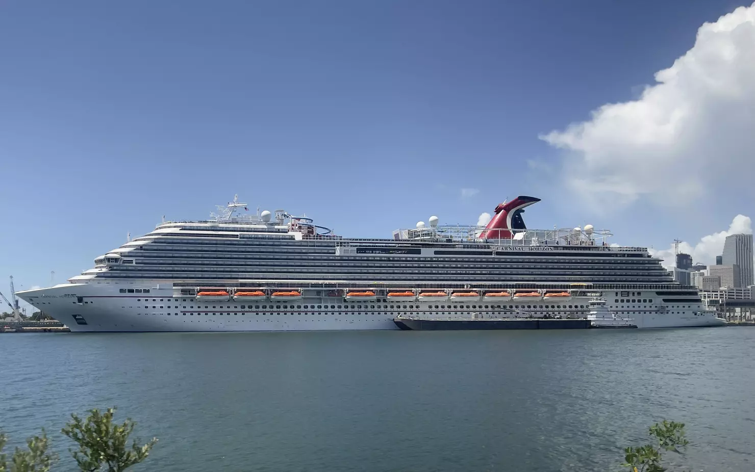 stepbrother sex abuse murder cruise ship