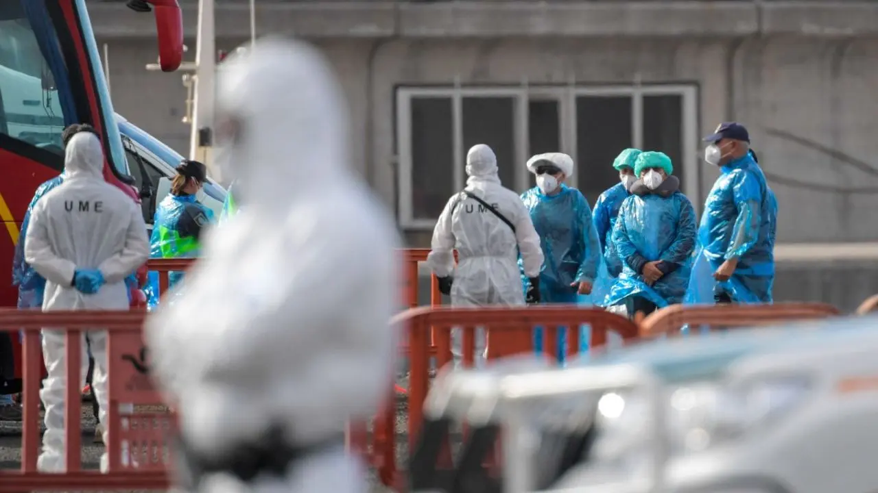 France confirms 1st hantavirus case
