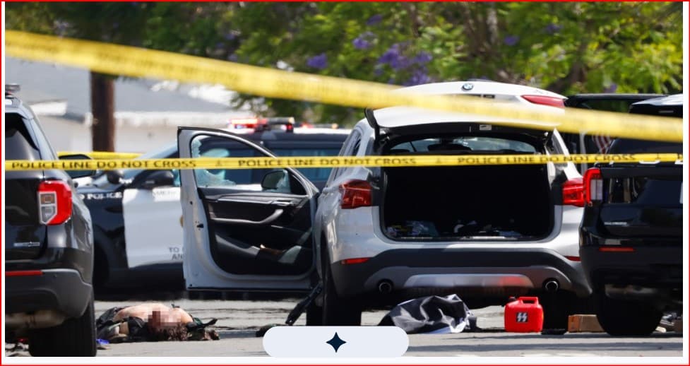 Mosque killer