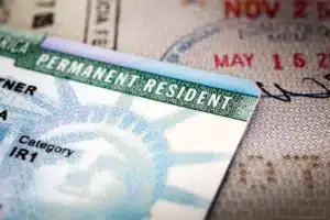 Trump new green card policy