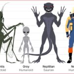 Types of Aliens