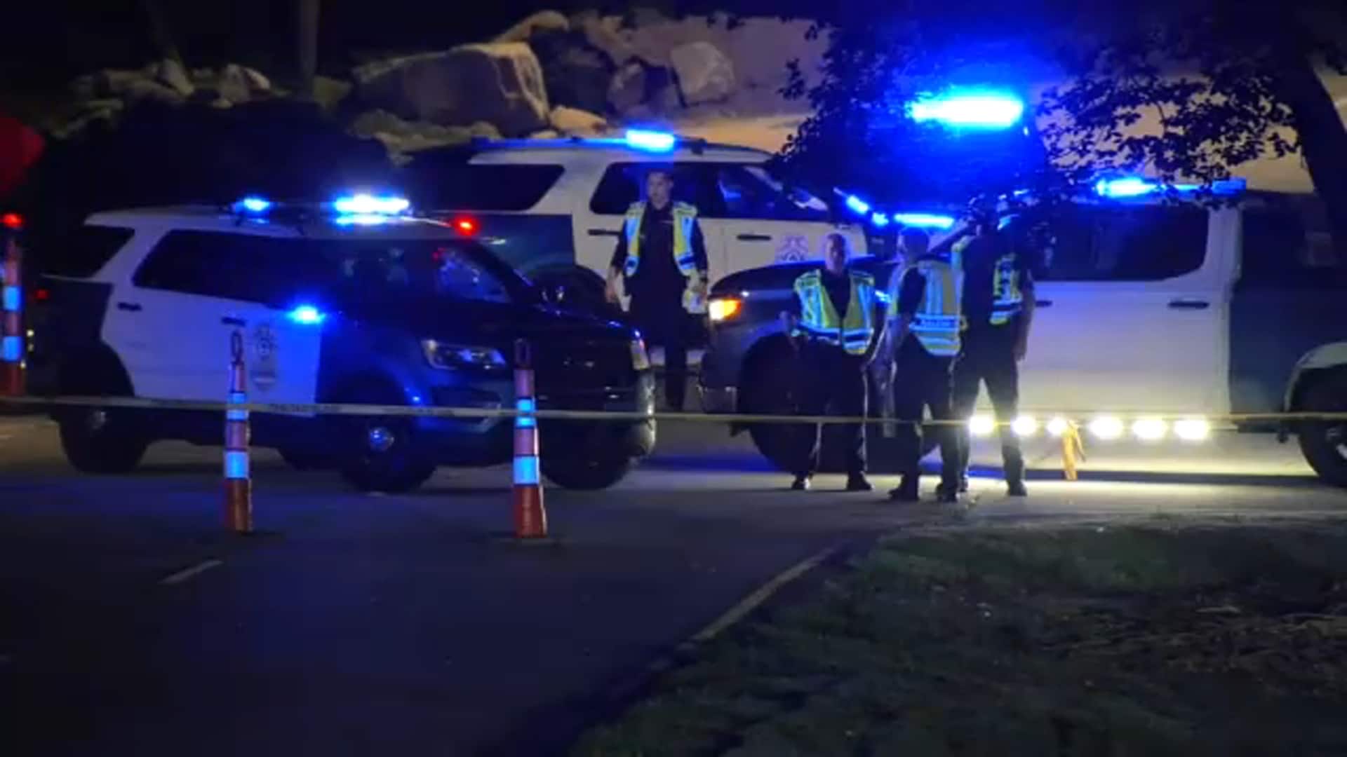driver faces DWI in Raleigh crash