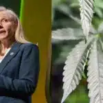 Split image: a woman in a blazer speaks at a podium on the left, and a close-up of cannabis leaves on the right, with an abc13 watermark.