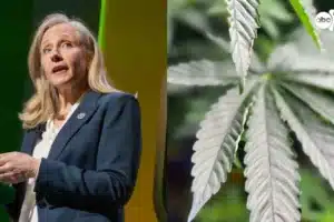 Split image: a woman in a blazer speaks at a podium on the left, and a close-up of cannabis leaves on the right, with an abc13 watermark.