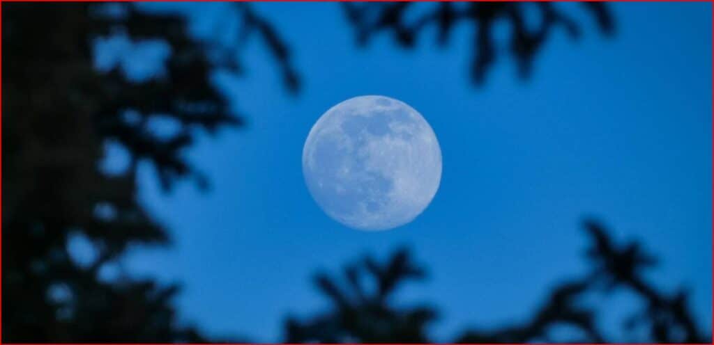 Full moon in a blue evening sky framed by dark tree silhouettes.