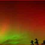 Northern lights (green and red) streak across a night sky above silhouetted trees on a dark horizon.