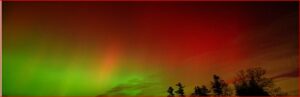 Northern lights (green and red) streak across a night sky above silhouetted trees on a dark horizon.