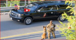 Black hearse parked on a street with American and Swiss flags on the hood; a military police officer stands beside a K-9 dog awaiting departure.