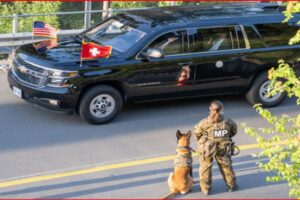 Black hearse parked on a street with American and Swiss flags on the hood; a military police officer stands beside a K-9 dog awaiting departure.