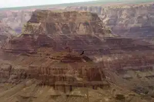 Three hikers die in Grand Canyon
