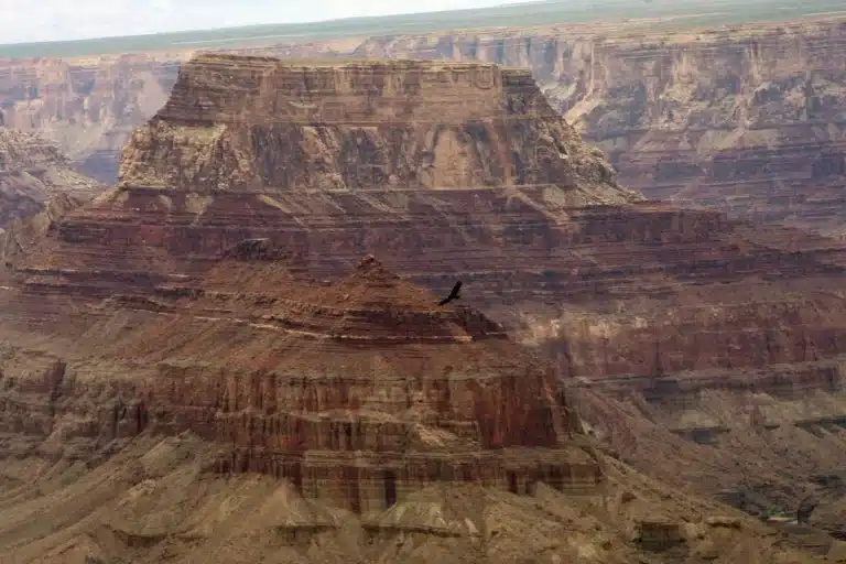 Three hikers die in Grand Canyon