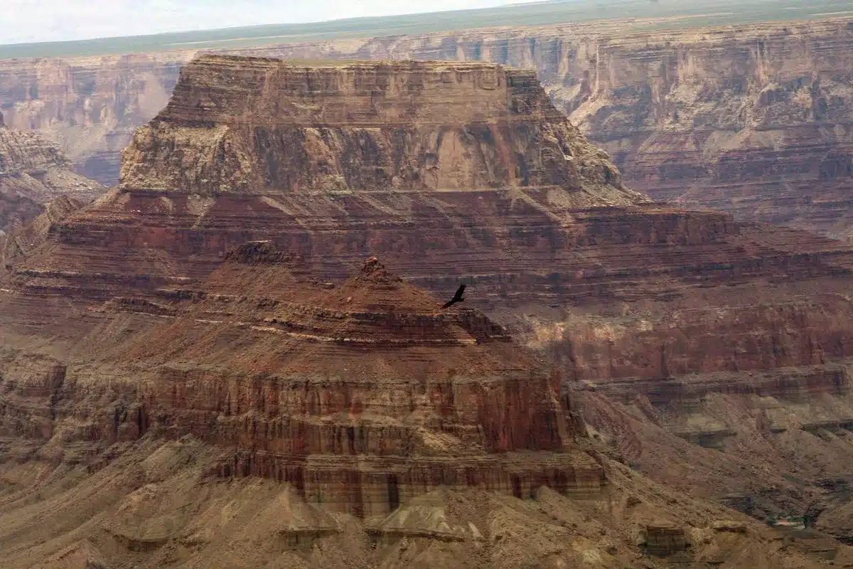 Three hikers die in Grand Canyon