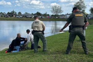 Woman killed by alligator in Florida
