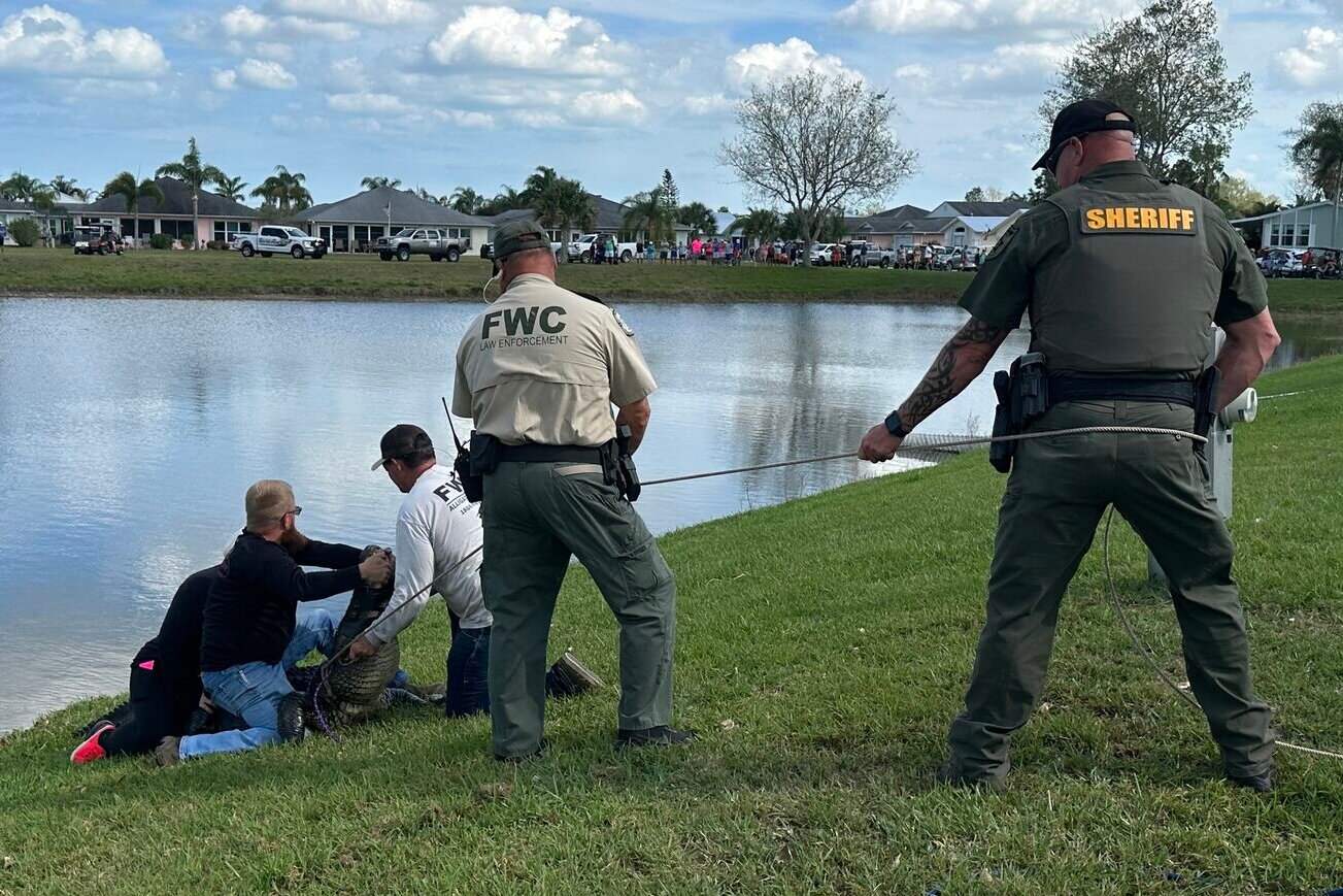 Woman killed by alligator in Florida